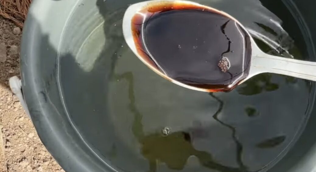 Ґрунт у листопаді потребує цього як повітря: полила землю 1 раз – і все наступне літо не удобрюю город 