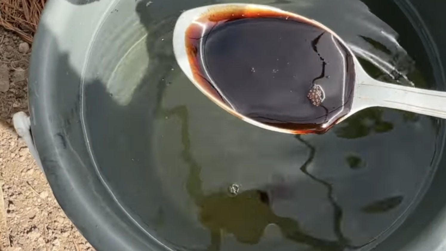 Городники розповіли, чим удобрити город у листопаді, щоб земля була родючою 