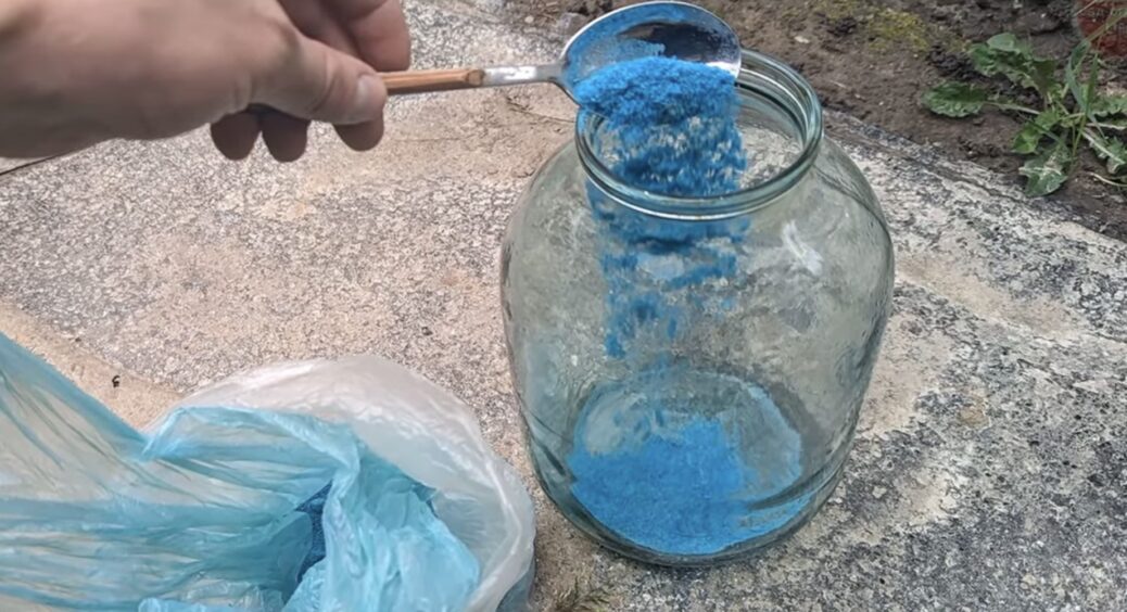 300 грамів на 10 літрів води, і восени обприскую смородину і аґрус — обов’язково: ягоди будуть по 30 г кожна 