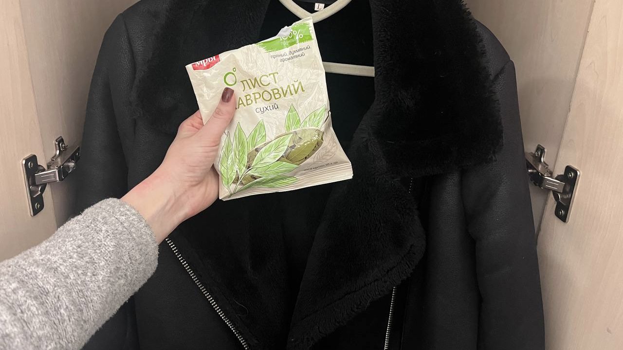 Господині розповіли, навіщо класти лавровий лист під подушку та у шафу Господині розповіли, навіщо класти лавровий лист під подушку та у шафу
