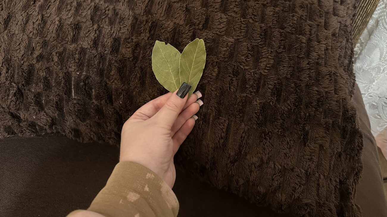 Господині розповіли, навіщо класти лавровий лист під подушку та у шафу Господині розповіли, навіщо класти лавровий лист під подушку та у шафу