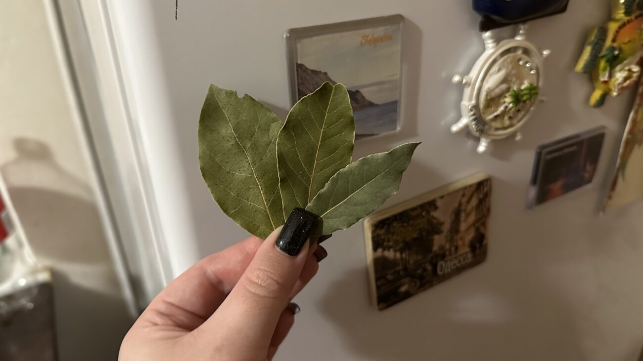 Господині розповіли, навіщо класти лавровий лист під подушку та у шафу Господині розповіли, навіщо класти лавровий лист під подушку та у шафу