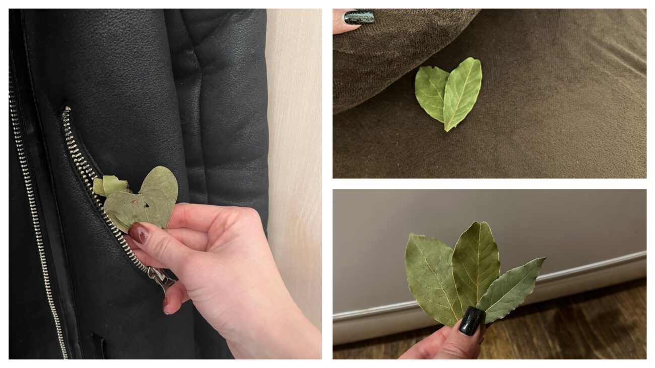 Господині розповіли, навіщо класти лавровий лист під подушку та у шафу