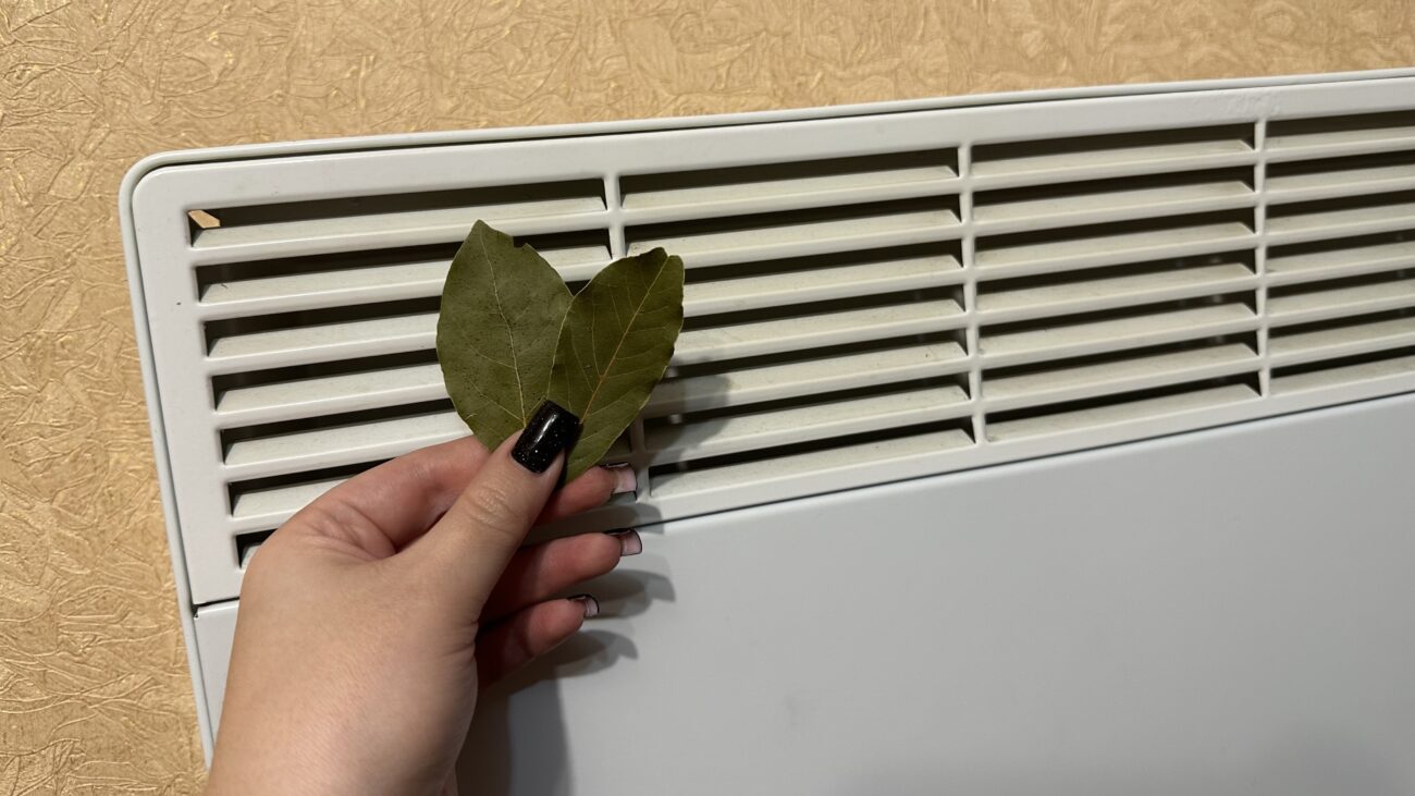 Господині розповіли, як ефективно використовувати лавровий лист у побуті 