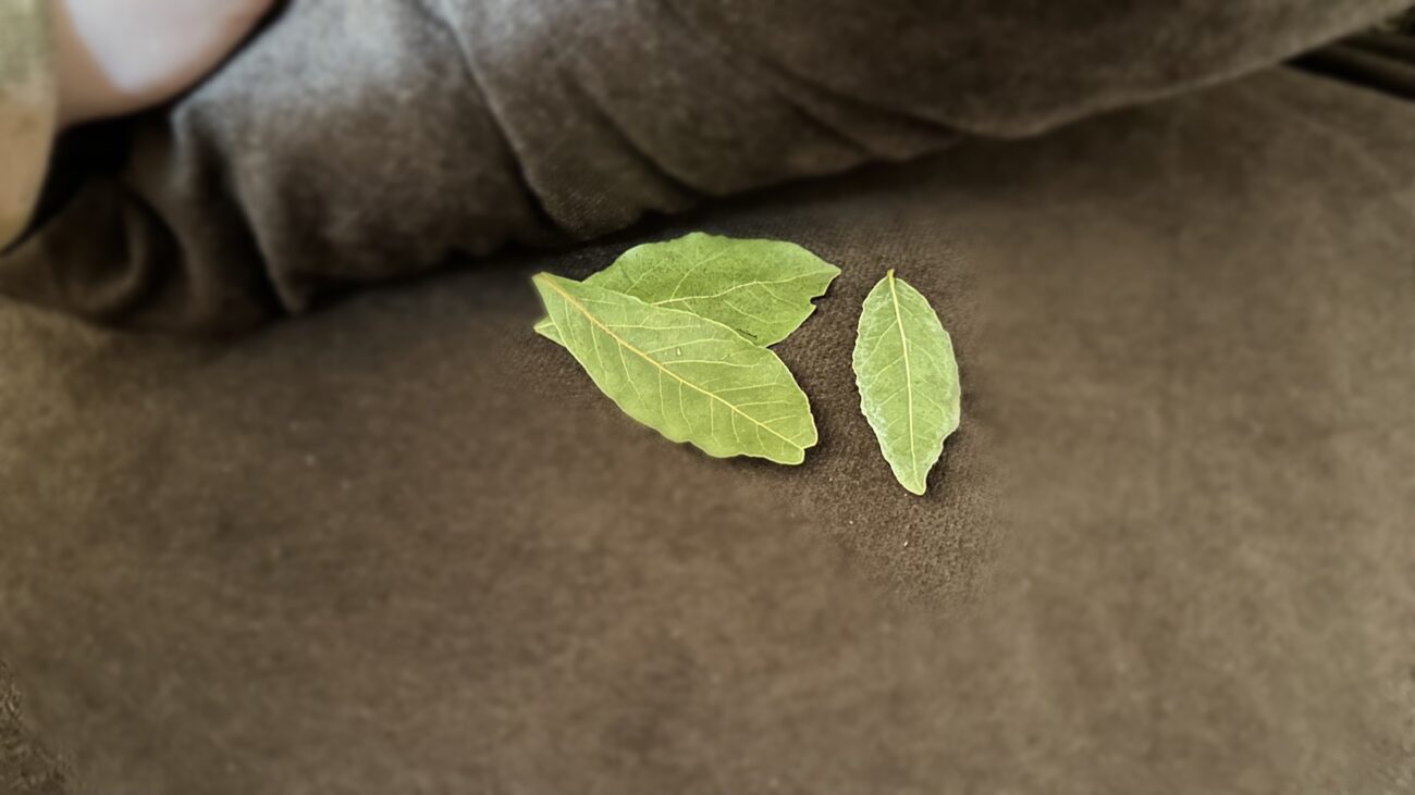 Господині розповіли, як ефективно використовувати лавровий лист у побуті 