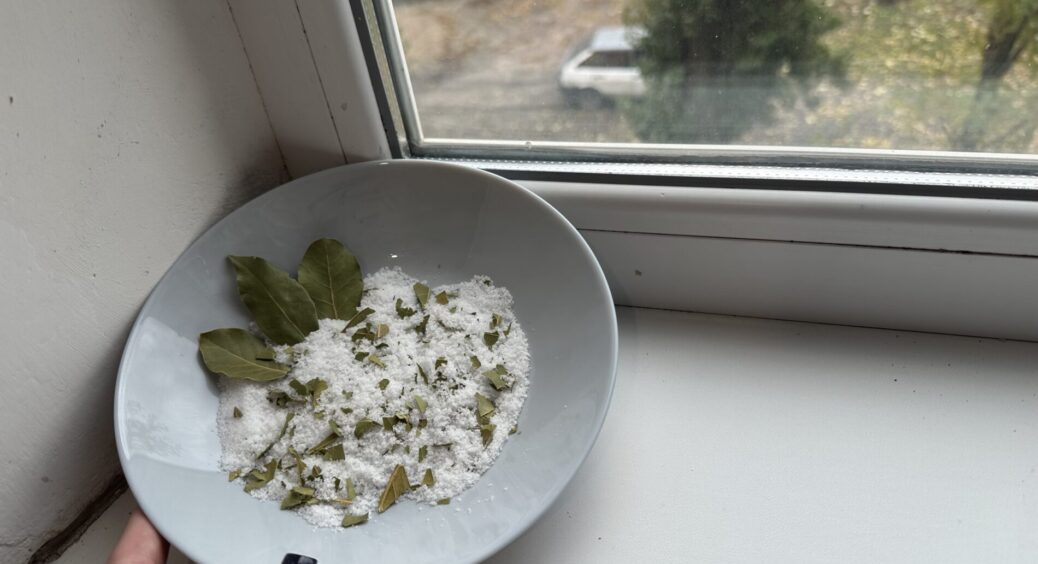 Ставлю на вікно піалу з сіллю, а туди – 3 “штучки” з кухні: це не забобони, а реальна користь для дому 