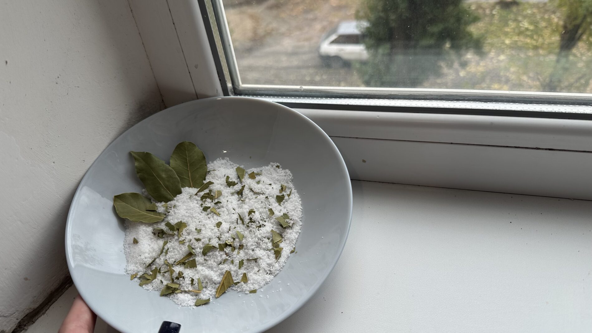 Господині розповіли, як сіль і лаврове листя рятують від конденсату і цвілі