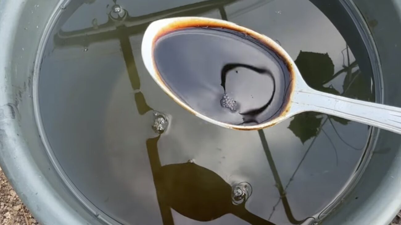 Городники розповіли, що зробити, аби томати плодоносили у жовтні Городники розповіли, що зробити, аби томати плодоносили у жовтні