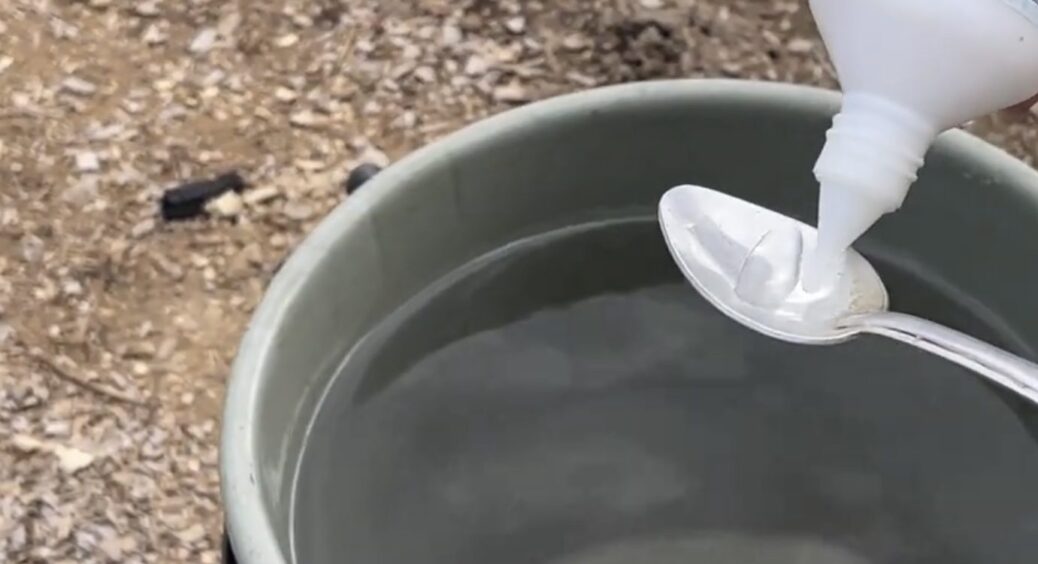 1 ложка + 5 крапель на 10 л води: цей розчин знезаразить ґрунт та підготує до нового сезону — раджу всім 