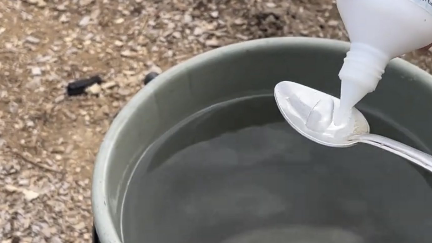 Городники розповіли, як приготувати розчин для знезараження ґрунту 