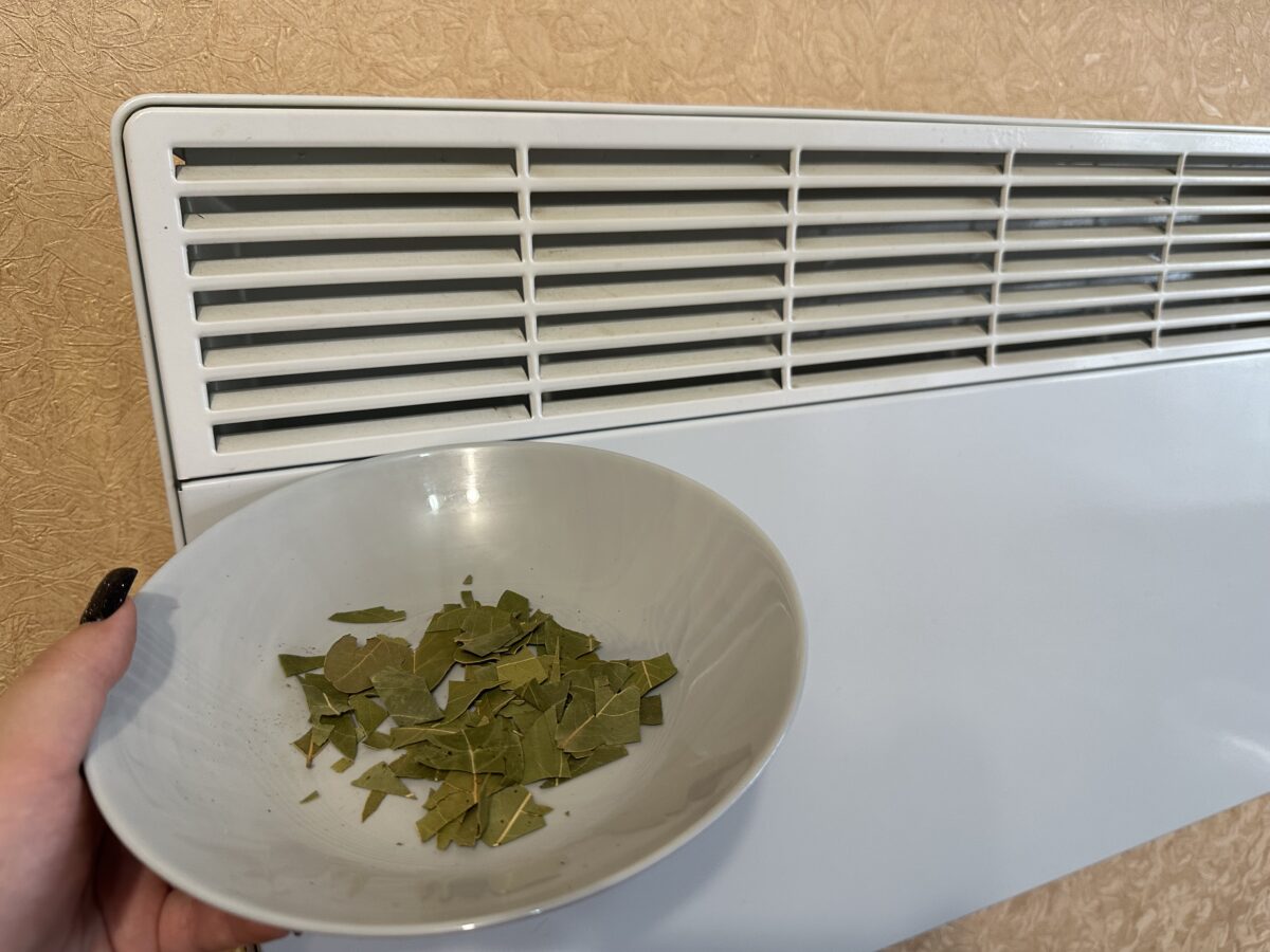 Господині розповіли про цікавий лайфхак з лавровим листом під час опалення