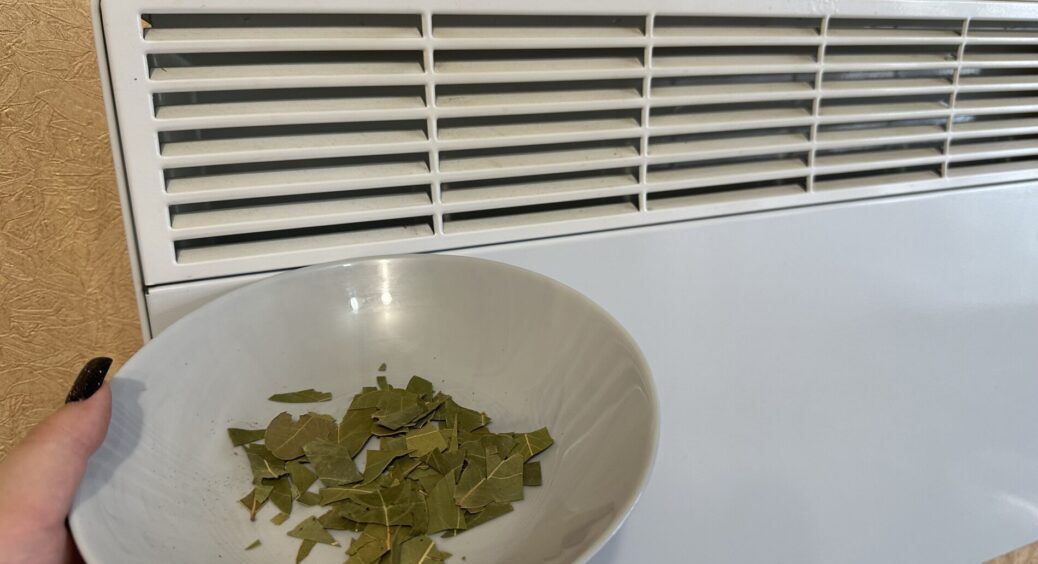 Покришила 6 лаврових листків у миску та поставила біля батареї: запах — нереальний, і це не все. Ефект “вау” 