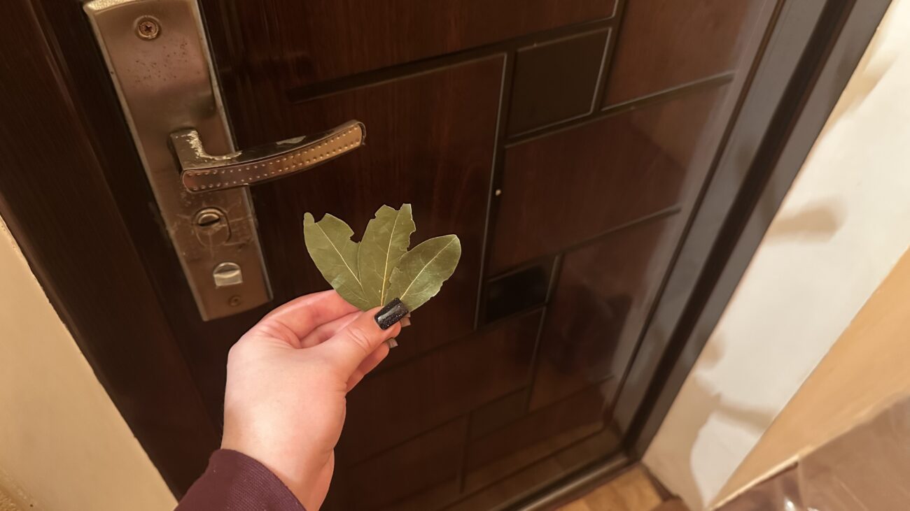 Господині розповіли, як використовувати лавровий лист у побуті 