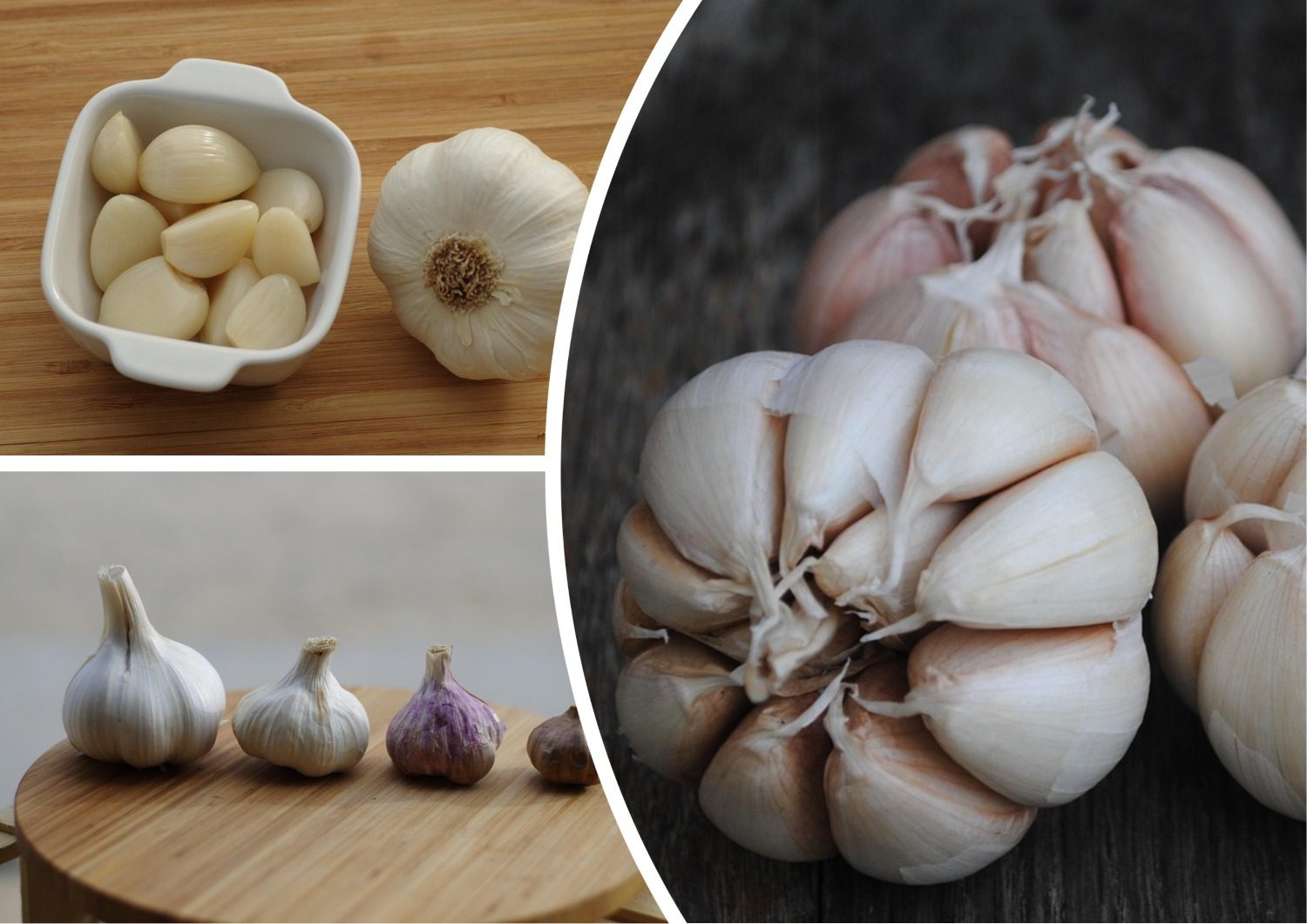 Яке добриво внести під озимий часник