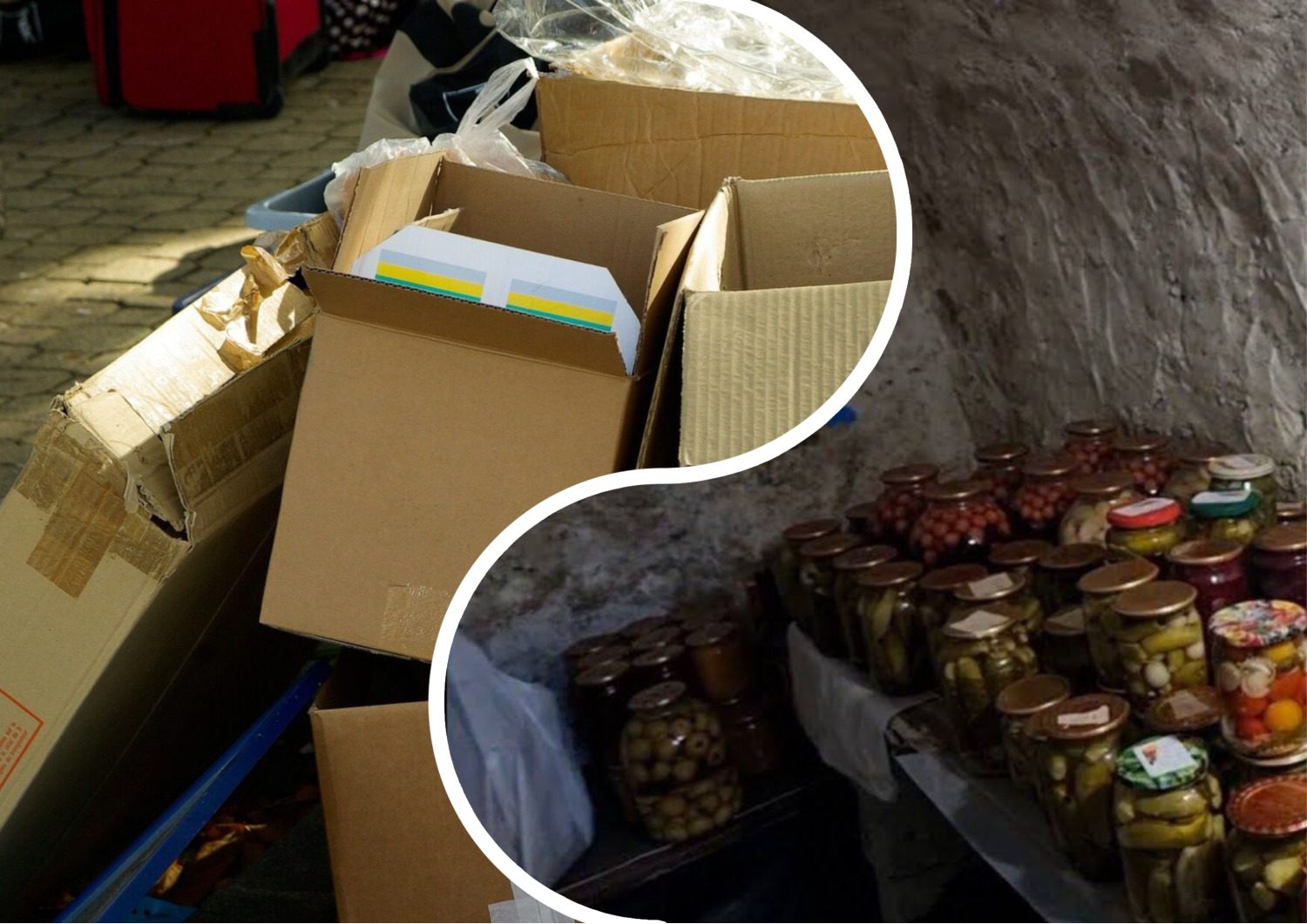 Городники розповіли, як використати картон у льосі