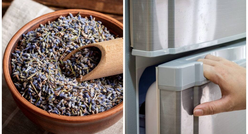 “Біди не чекаю – кладу чебрець під холодильник одразу, і це не Вуду”: вся родина помічає різницю до і після 