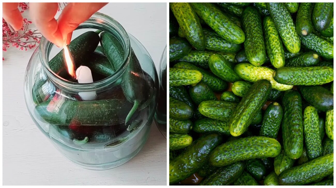 Господині поділилися незвичним способом, як зберігати огірки свіжими пів року