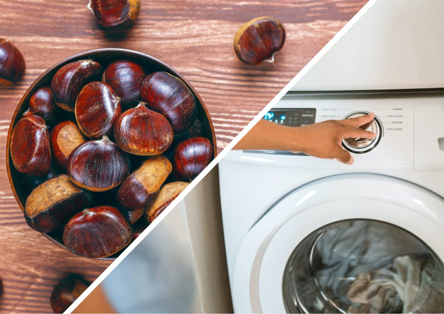 Господині пояснили, навіщо класти каштани у барабан пральної машини