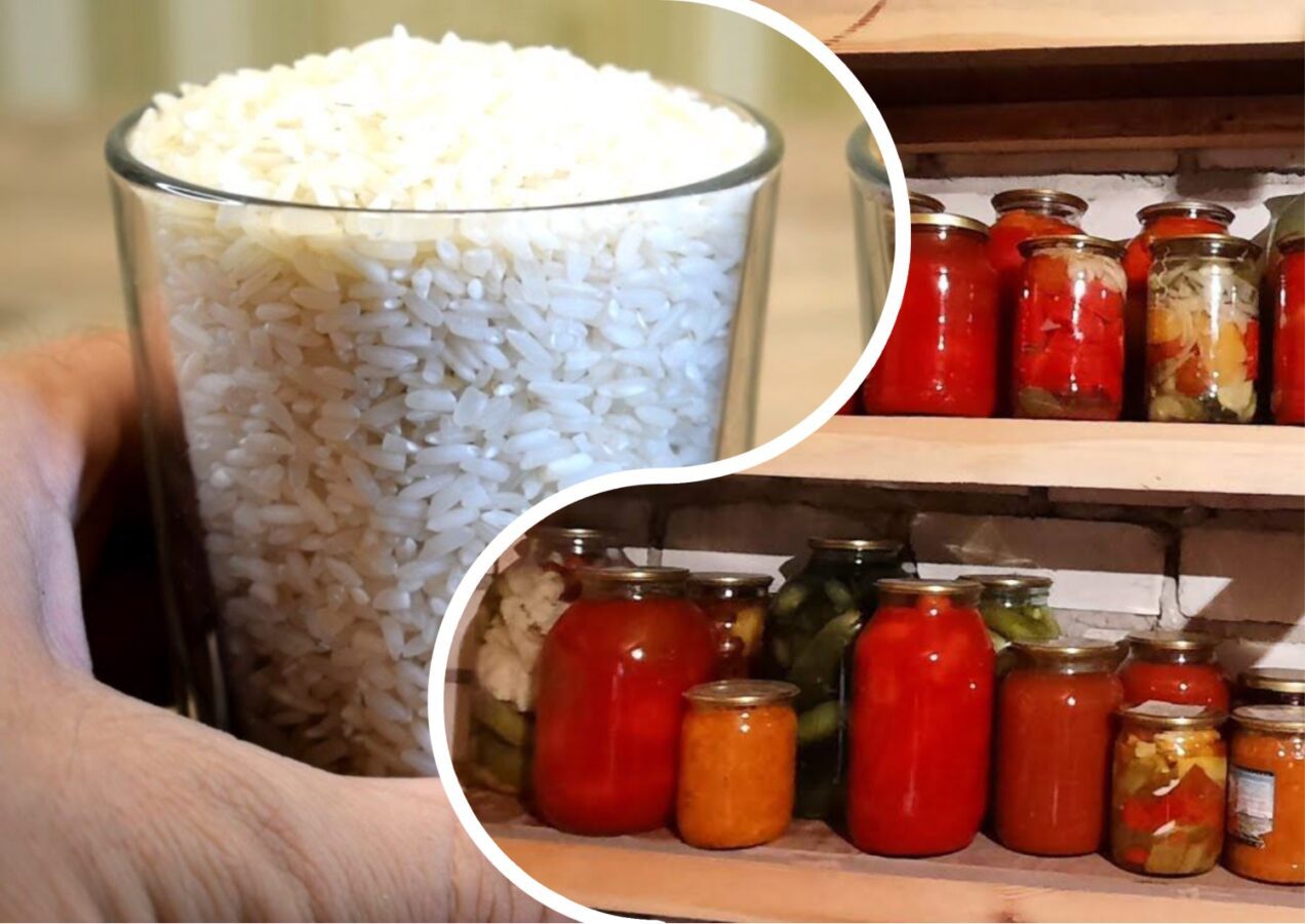 Городники розповіли, як прибрати зайву вогкість в погребі 