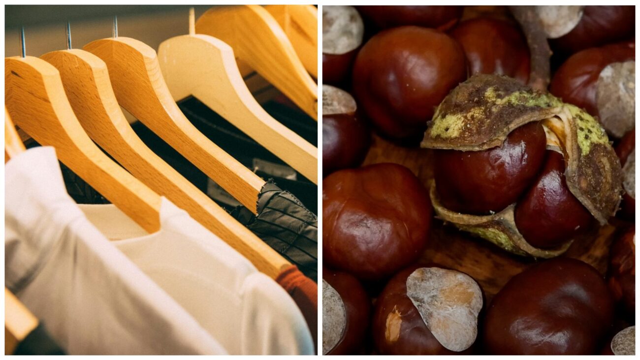 Господині розповіли, як використати каштани у побуті