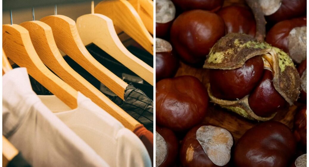 2-3 каштани в кожну шафу – і в родині більше нема проблем: зміни помітив навіть неуважний 54-річний чоловік 