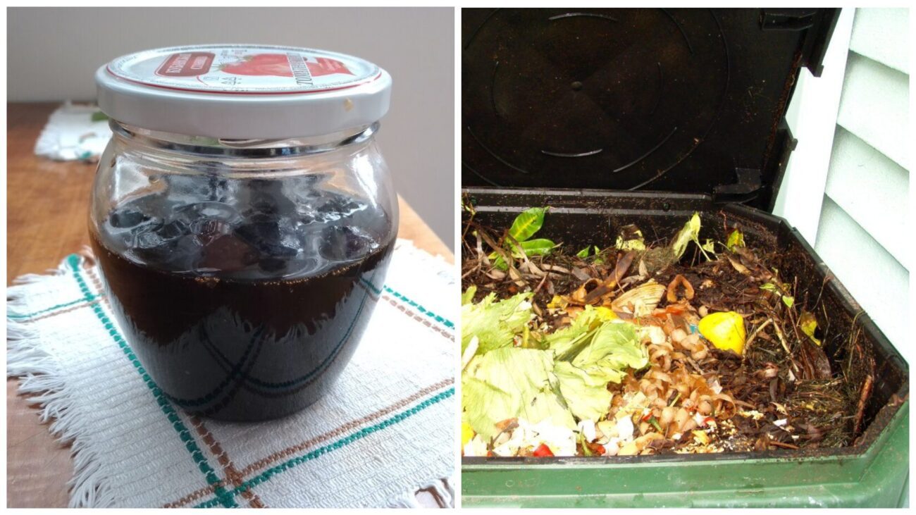 Городники розповіли, як старе варення здатне прискорити дозрівання компосту