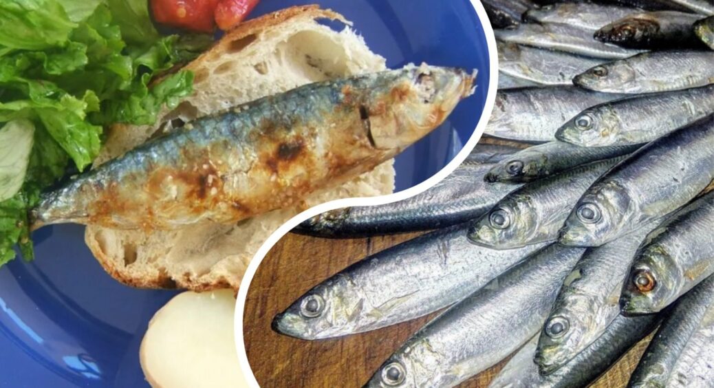 Ця риба коштує у 5 разів дешевше за червону, але ще корисніша: назва + 2 способи вдалого приготування 