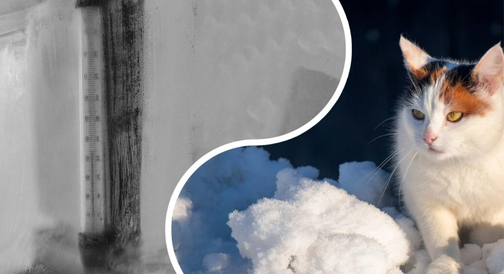 Морози до -25 градусів і обледеніння: скільки триватиме в Україні антициклон і до чого бути готовим 