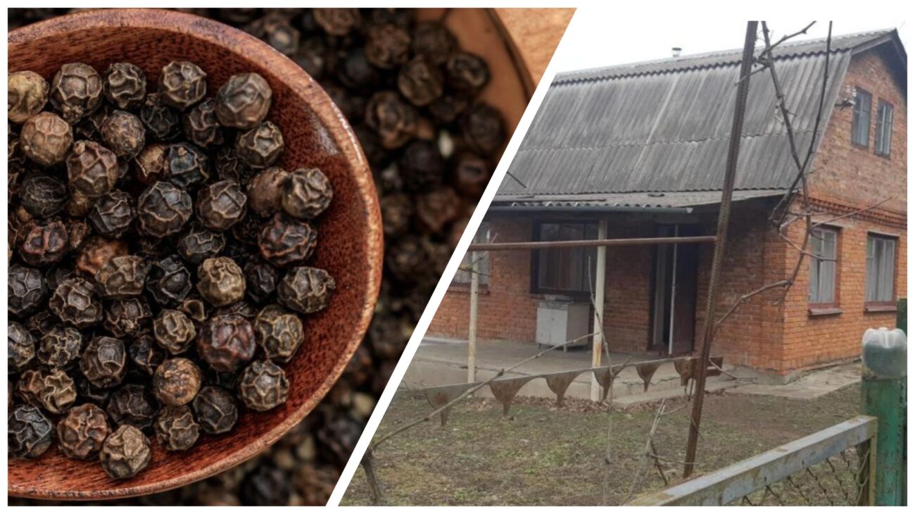 Господарі розповіли, які спеції допомагають відлякувати мишей 