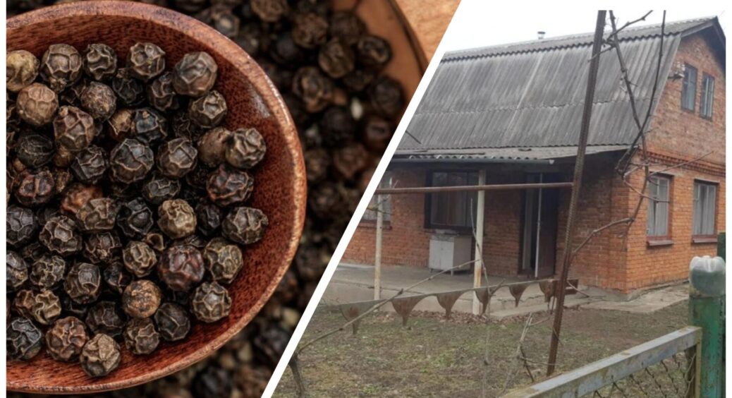 Щойно настають морози — чорний перець і корицю скупляю пачками: у кого приватний дім — читати обов’язково 