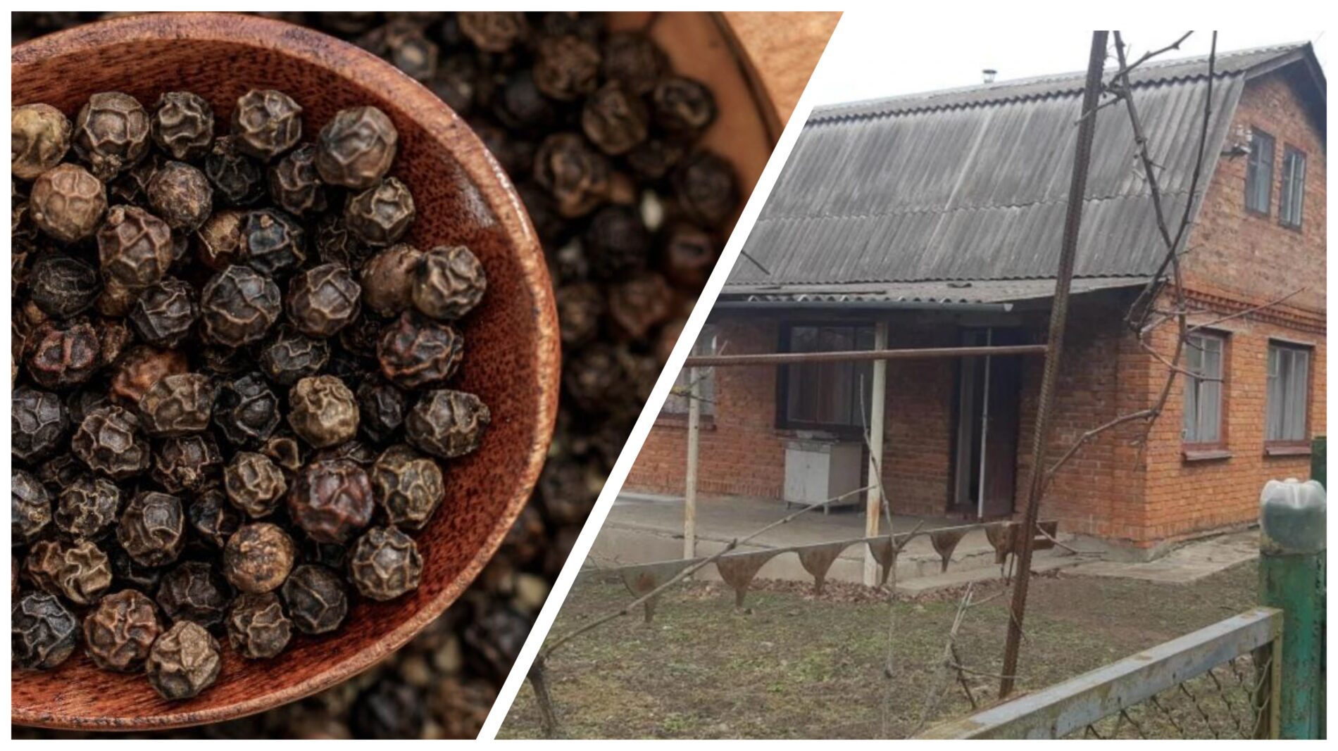 Господарі розповіли, які спеції допомагають відлякувати мишей 