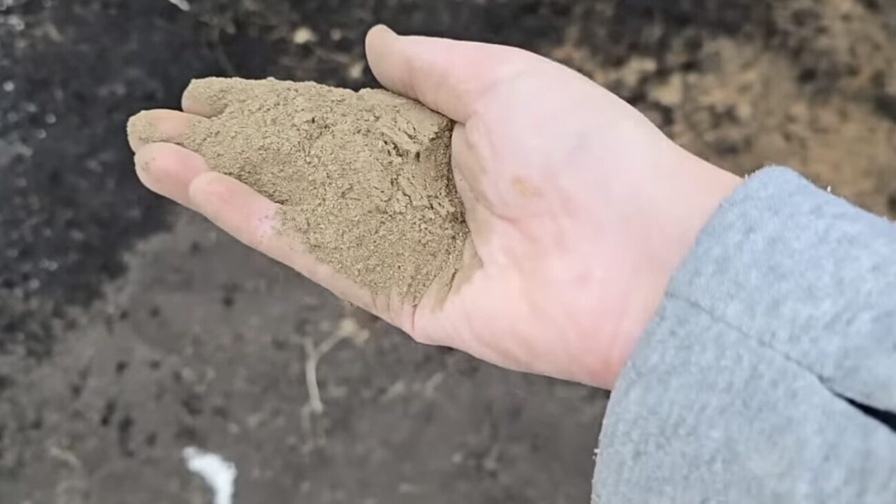 Городники розповіли, як восени обробити ґрунт від грибка і шкідників Городники розповіли, як восени обробити ґрунт від грибка і шкідників