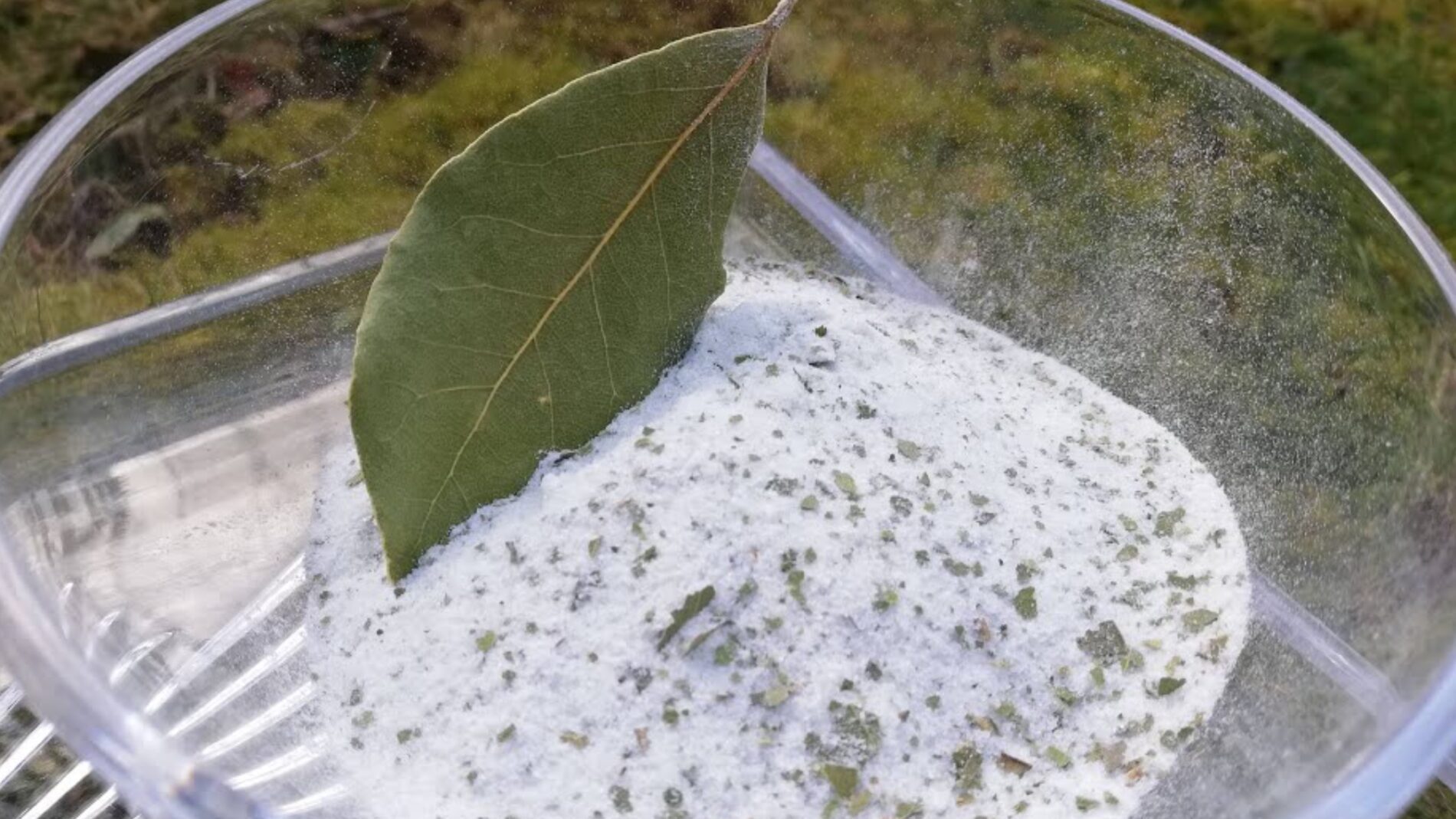 Господині розповіли, навіщо засипати лавровий лист сіллю, і куди це треба ставити