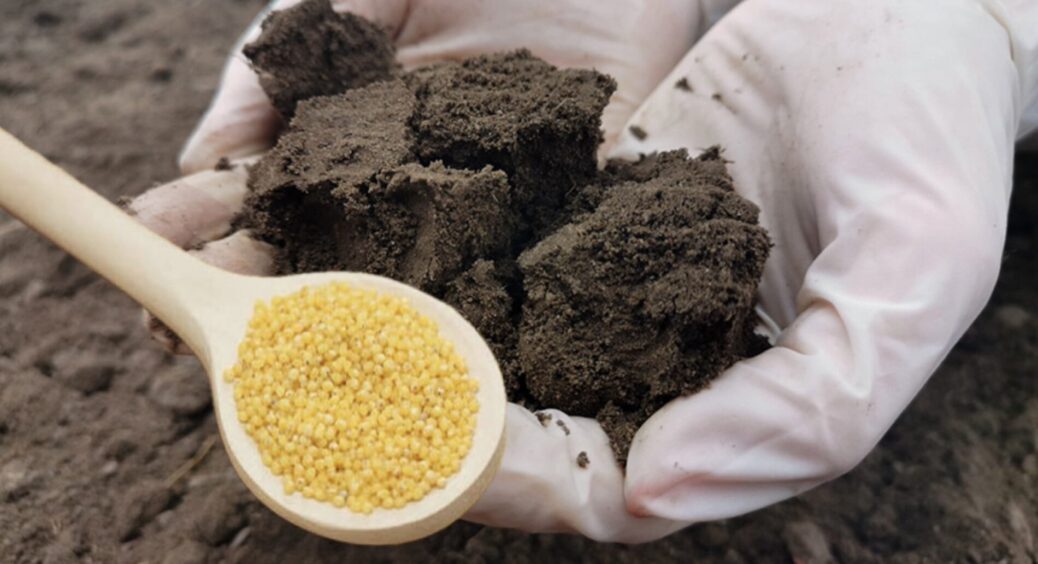 Перетворила бідний ґрунт на чорнозем без грама перегною: 1 крупа, яка йшла в утиль, стала для мене “золотом” 