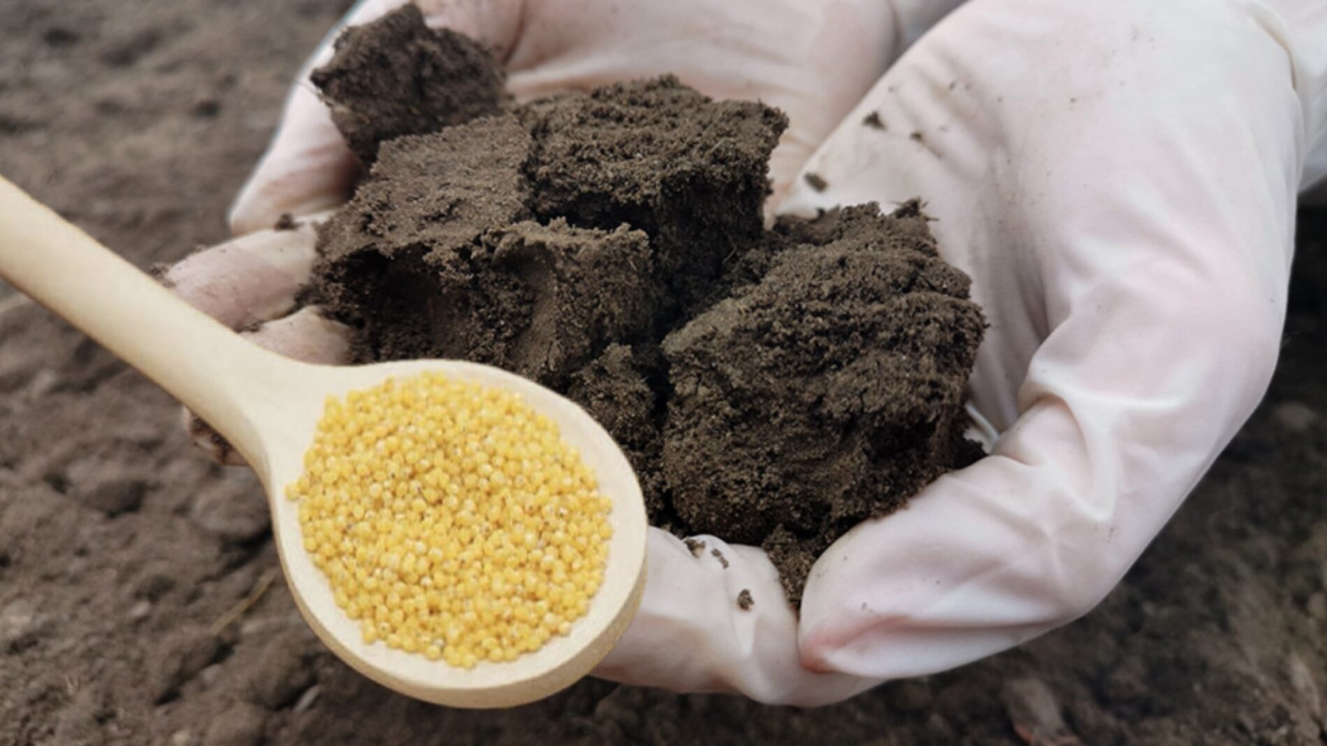 Господині розповіли, як можна ефективно використати відсирілі крупи 