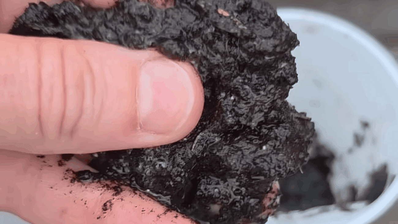 Городники розповіли, як визначити кислотність ґрунту без лакмусових смужок 