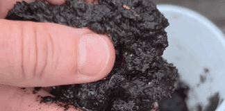 Городники розповіли, як визначити кислотність ґрунту без лакмусових смужок 