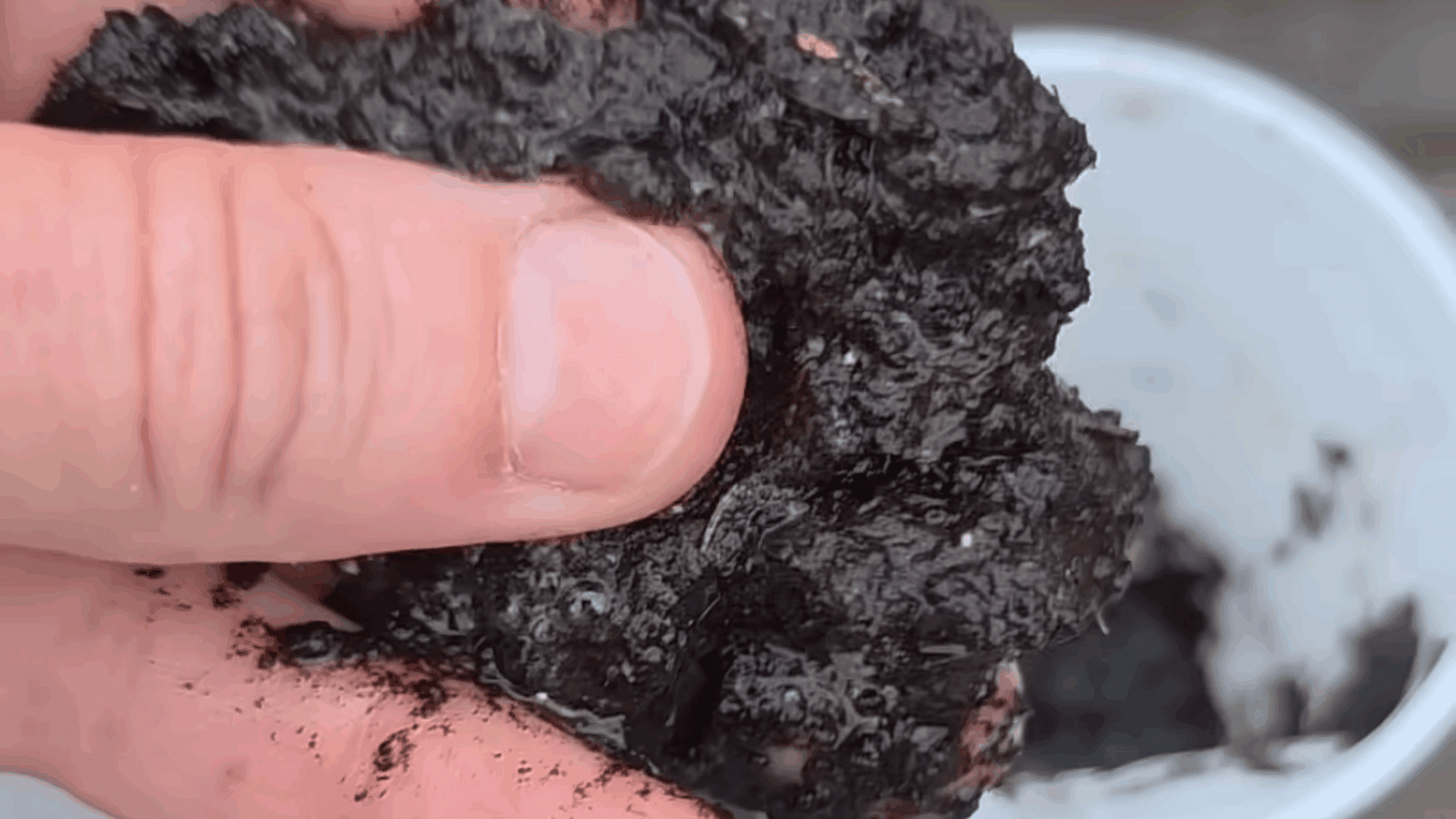 Городники розповіли, як визначити кислотність ґрунту без лакмусових смужок 