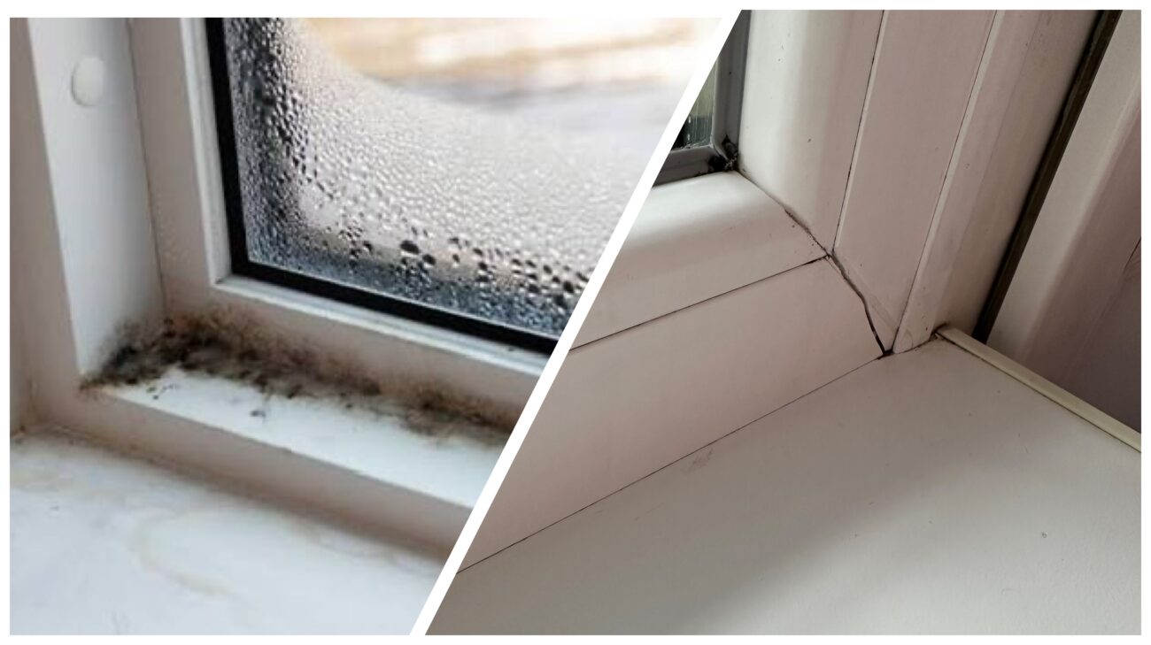 Господині розповіли, як швидко позбутися конденсату на вікнах