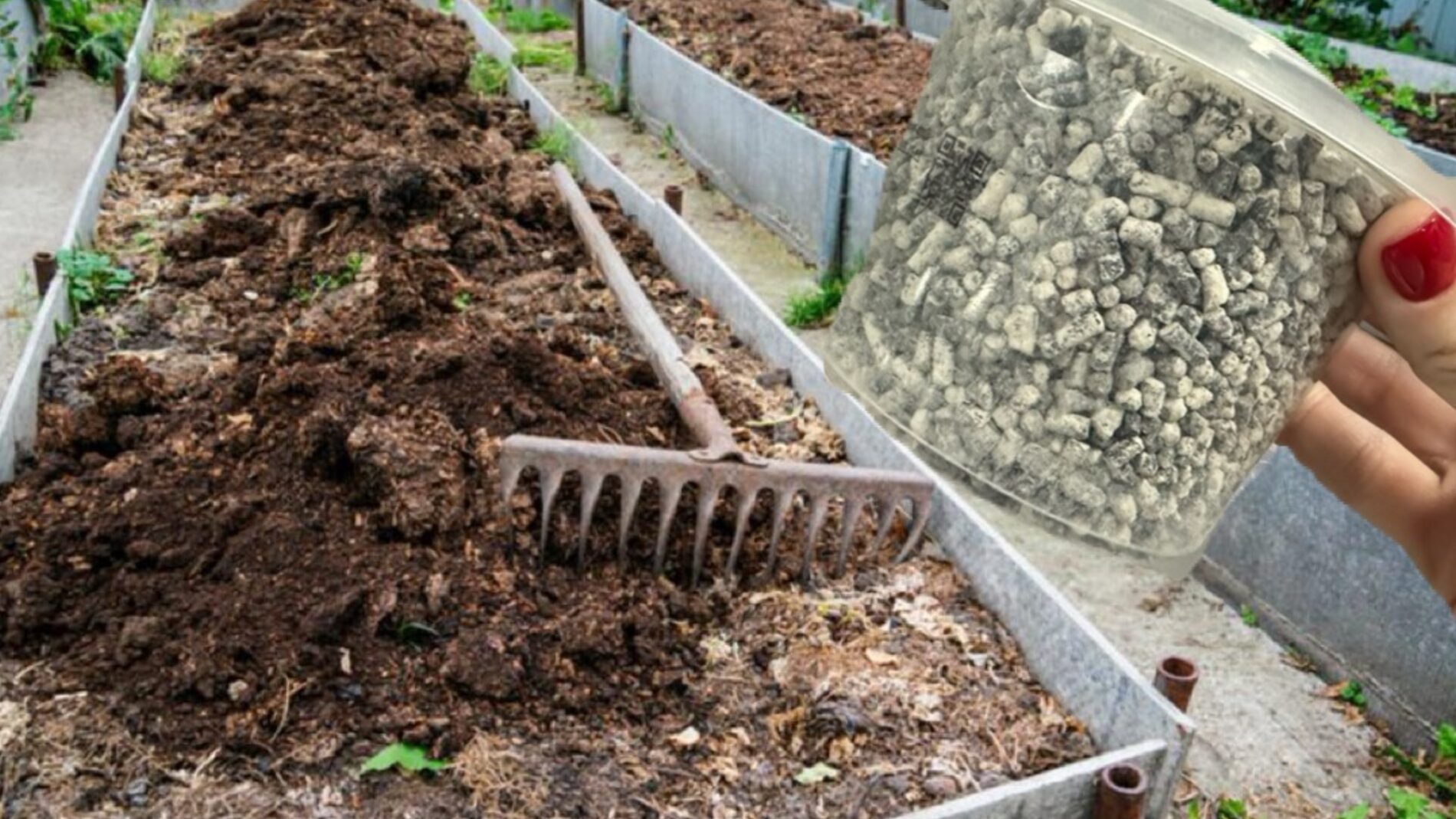 Городники розповіли, як правильно обробити ґрунт восени