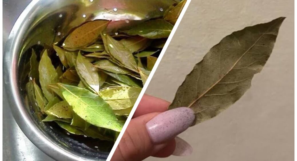 Розставила відвар з лаврового листя по всій оселі, і перетворила квартиру на “рай”: навіть цвіль зникла 