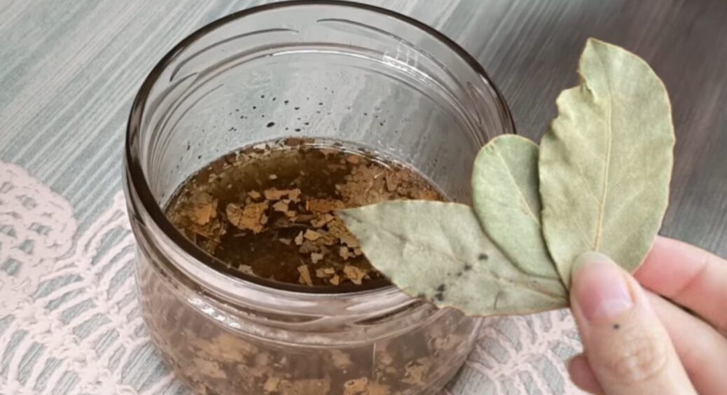 Беру 12 лаврових листків і заливаю олією: сусідка думає, що я відьма, бо такого ефекту ми не бачили 50 років 