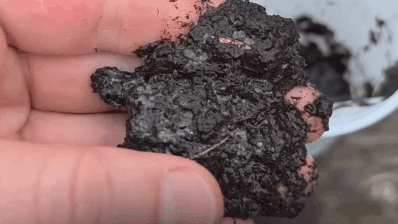 Городники розповіли, як визначити кислотність ґрунту без лакмусових смужок 