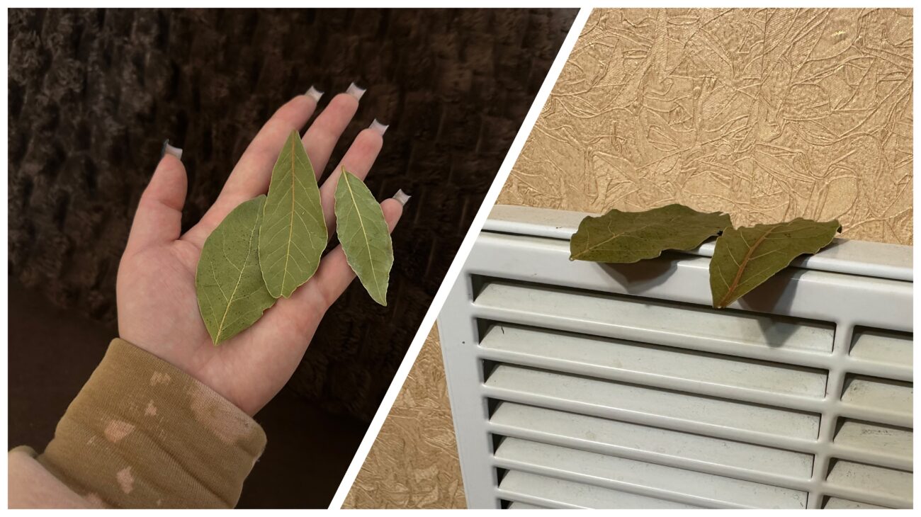 Господині розповіли, як ефективно використовувати лавровий лист у побуті 