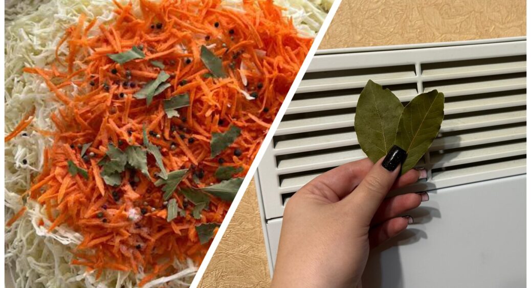 Моя сусідка кладе лавровий лист не тільки в квашену капусту – 1 “фішка”, яка працює в опалювальний сезон 