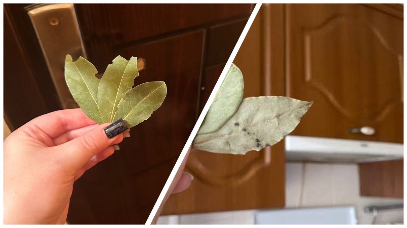 Господині розповіли, як використовувати лавровий лист у побуті 