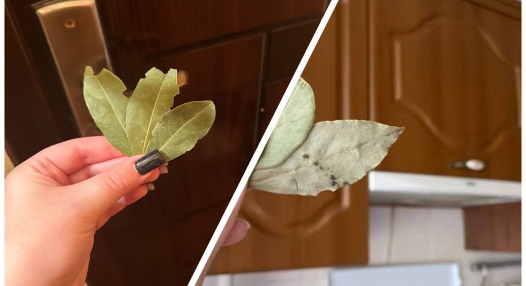 Сіль і лавровий лист – мої домашні обереги: тепер купляю по 2 пачки – одна для кулінарії, інша для оселі 