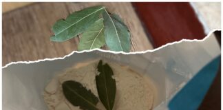 Господині розповіли, навіщо класти лавровий лист у сіль і борошно 