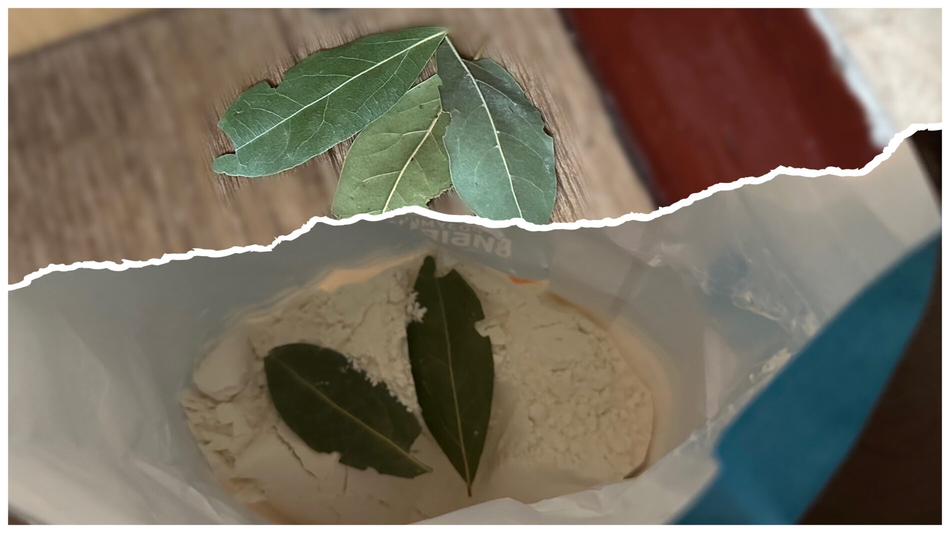 Господині розповіли, навіщо класти лавровий лист у сіль і борошно 