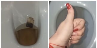 Клінери розповіли, навіщо класти чайник пакетик в унітаз 